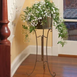 Jasmine In Filigree Plant Stand
