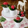 Red Kalanchoe Quartet In White Ceramic Cachepots