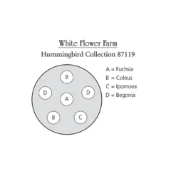 Hummingbird Annual Collection