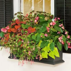 Hummingbird Annual Collection -Tree Bower Sales x600 11675