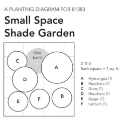 Small Space Shade Garden -Tree Bower Sales x600 18079