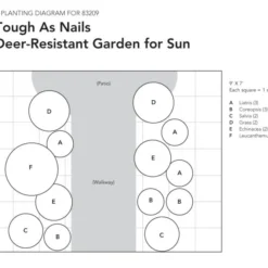Tough As Nails Deer-Resistant Garden For Sun -Tree Bower Sales x600 18084