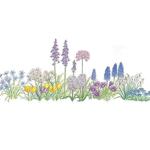 Colorful Carpet Mix 2 Colorful Carpet Mix - Image 2