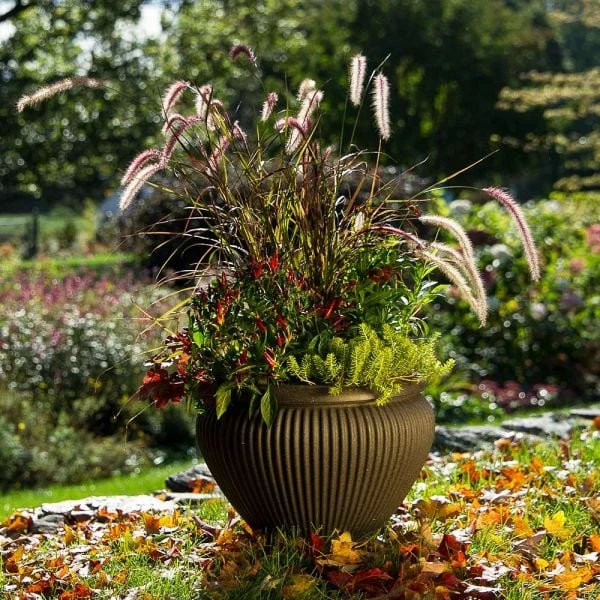 Season's Farewell Collection 2 Season's Farewell Collection - Image 2