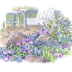 Pollinator Bulb Collection -Tree Bower Sales x600 22189