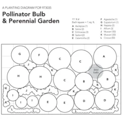 Pollinator Bulb & Perennial Garden 26 Pollinator Bulb & Perennial Garden -Tree Bower Sales x600 23754