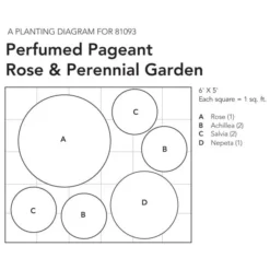 Perfumed Pageant Rose & Perennial Garden -Tree Bower Sales x600 26067