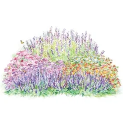 Monarch Butterfly Perennial Garden -Tree Bower Sales x600 26352