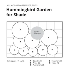 Hummingbird Garden For Shade -Tree Bower Sales x600 30417