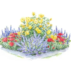 Perfumed Pageant Rose & Perennial Garden -Tree Bower Sales x600 30785