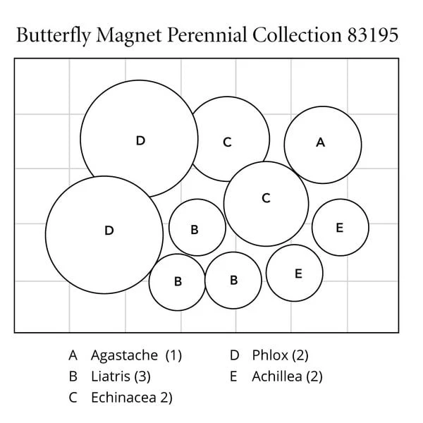 Butterfly Magnet Perennial Collection 7 Butterfly Magnet Perennial Collection - Image 7