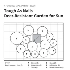 Tough As Nails Deer-Resistant Garden For Sun -Tree Bower Sales x600 32083