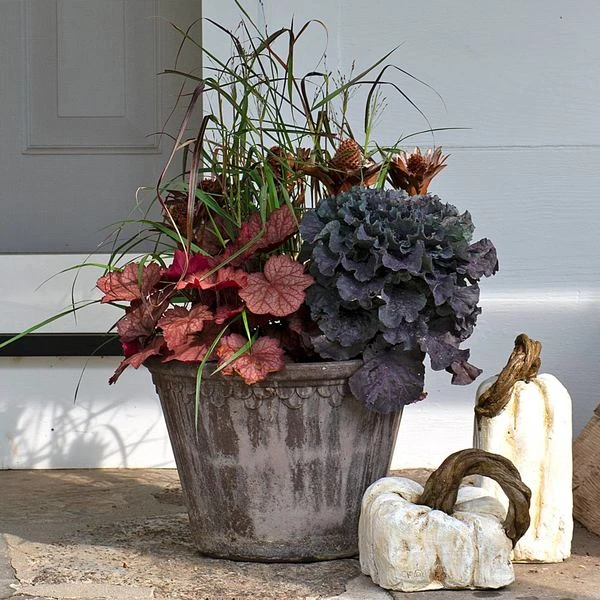 Brandied Peach Fall Collection 1 Brandied Peach Fall Collection