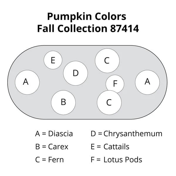 Pumpkin Colors Fall Collection 2 Pumpkin Colors Fall Collection - Image 2