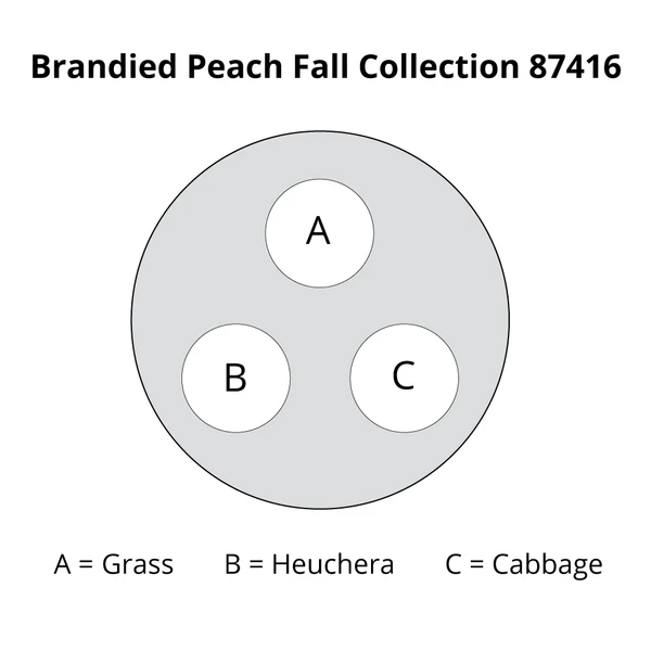 Brandied Peach Fall Collection 2 Brandied Peach Fall Collection - Image 2