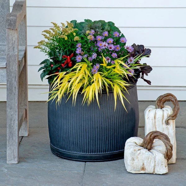 Octoberfest Fall Collection 1 Octoberfest Fall Collection