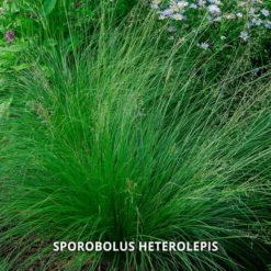 Start A Garden For Butterflies -Tree Bower Sales x600 37156