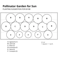 Pollinator Garden For Sun -Tree Bower Sales x600 37399