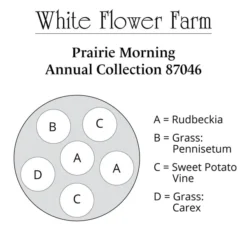 Prairie Morning Annual Collection 11 Prairie Morning Annual Collection -Tree Bower Sales x600 37452