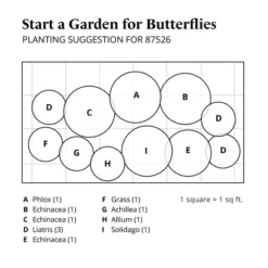 Start A Garden For Butterflies -Tree Bower Sales x600 37680