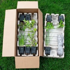 Start A Garden For Butterflies -Tree Bower Sales x600 38179