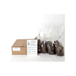 Emerald Isle Hosta Collection -Tree Bower Sales x600 920